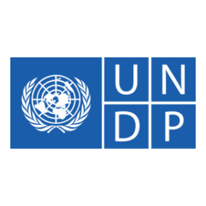 The image displays the United Nations Development Programme (UNDP) logo, featuring a world map surrounded by olive branches and the letters 